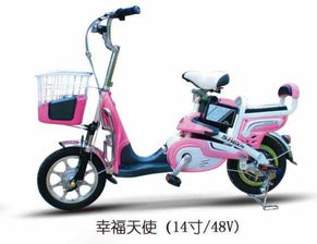 幸福天使的軌跡 一輛電動(dòng)車(chē)與一千個(gè)微笑的故事